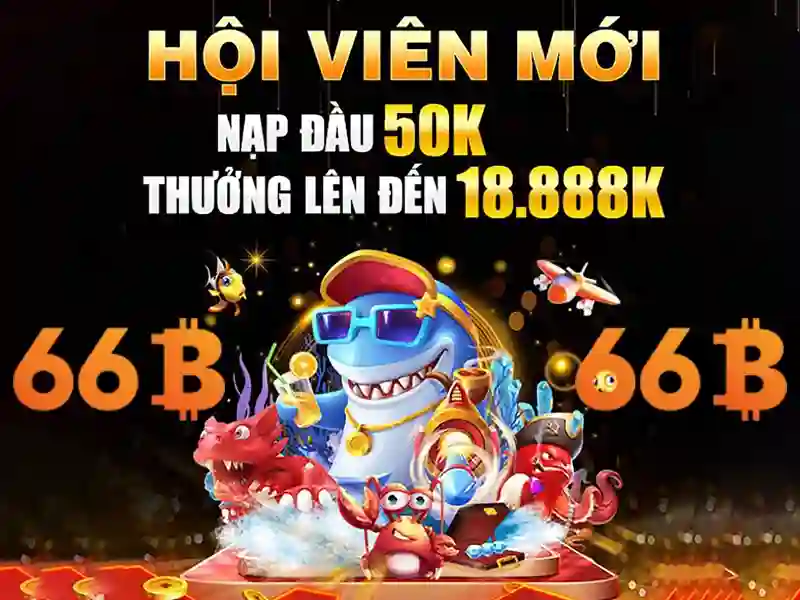 66b trong lý thuyết và ứng dụng