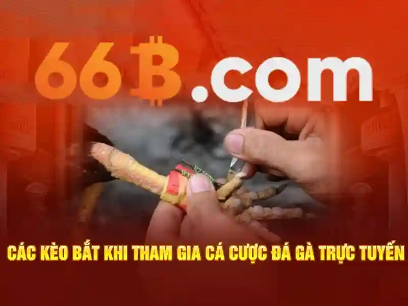 Giới thiệu về 66B