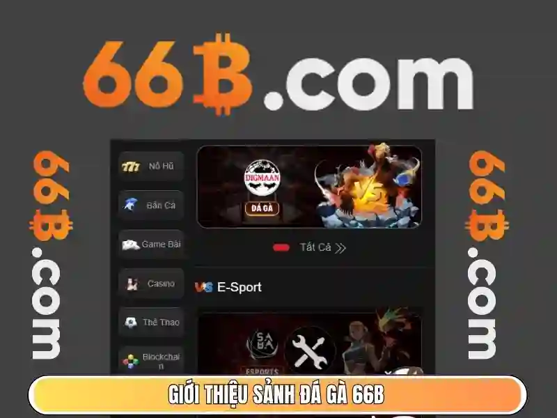 66B: Khái niệm, ứng dụng và tác động