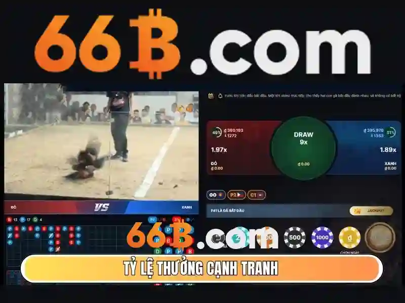 66b có giấy phép không – Giới thiệu và diễn giải từ khóa