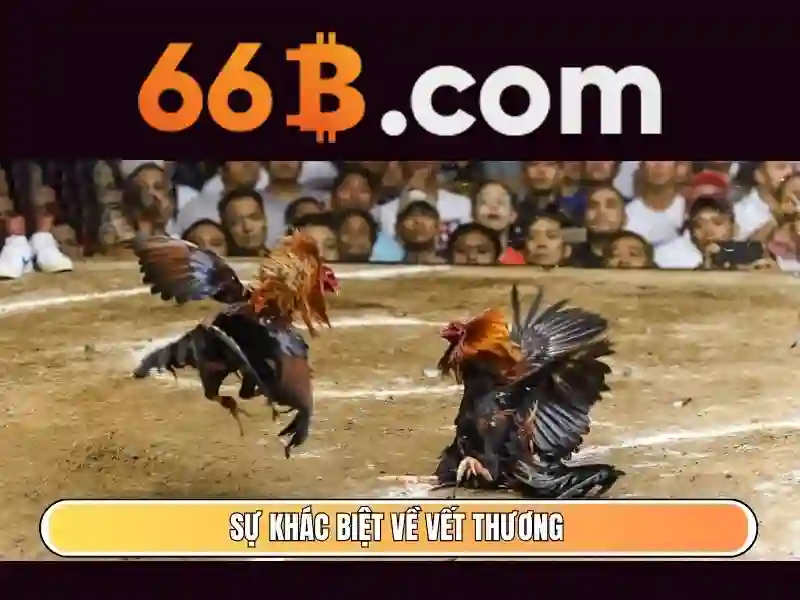 lô đề 66b – Hành trình thương hiệu và trải nghiệm người dùng