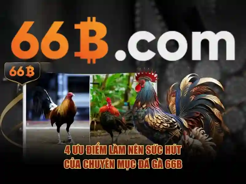 cd 66b fitc – Tổng quan chủ đề và giá trị cốt lõi