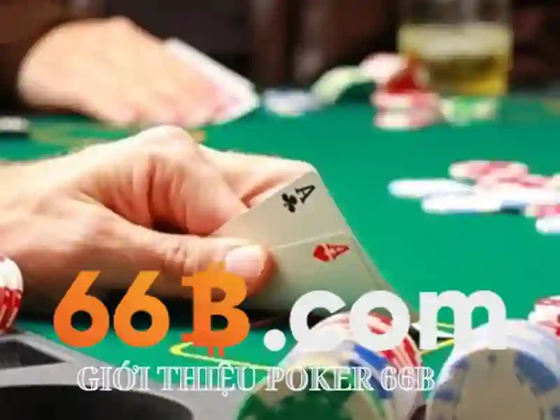 66b trong lĩnh vực giáo dục và xã hội