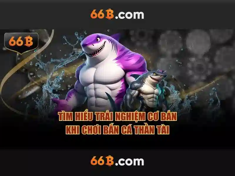 66b: Khám phá ý nghĩa và ứng dụng