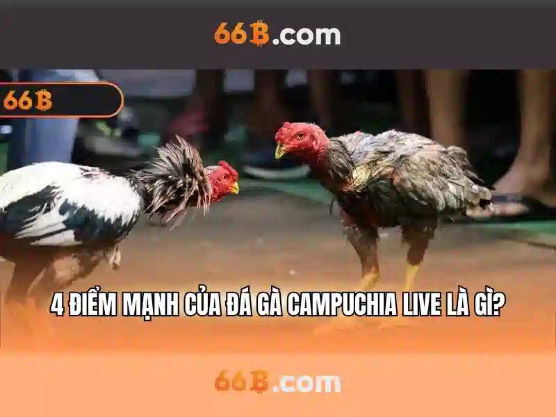 66b kw – Tổng quan chủ đề và giá trị cốt lõi