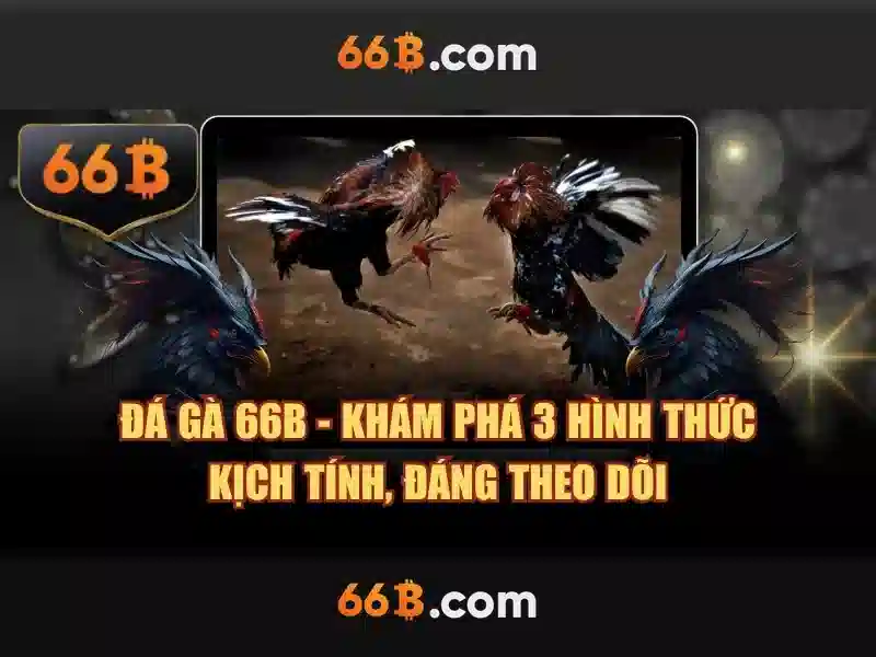66b là gì và ý nghĩa của nó