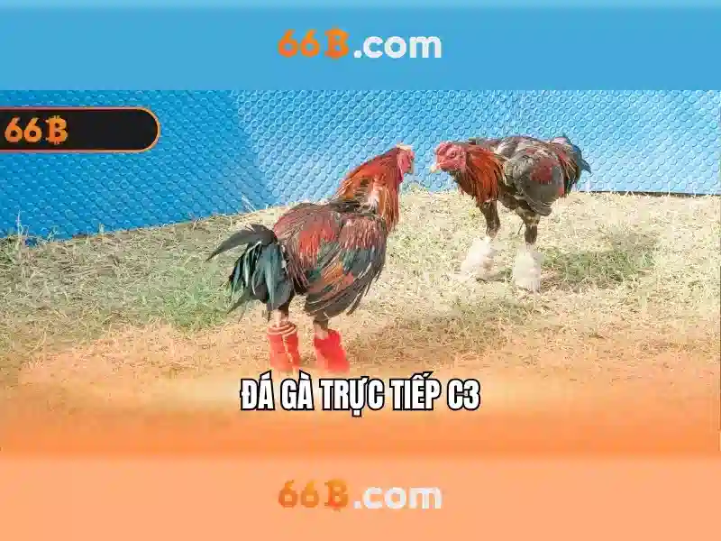 66b và ý nghĩa của nó trong thế giới hiện đại