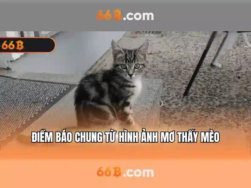 Bếp từ canzy cz-66b: trải nghiệm tối ưu cho căn bếp hiện đại