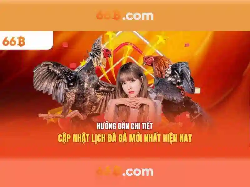 Khái niệm 66B trong thế giới mô hình ngôn ngữ