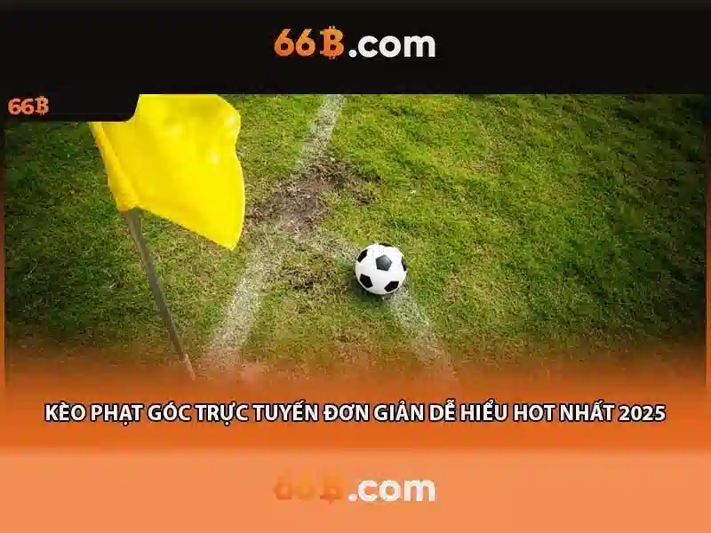 66b: những câu chuyện và ứng dụng của một con số thú vị