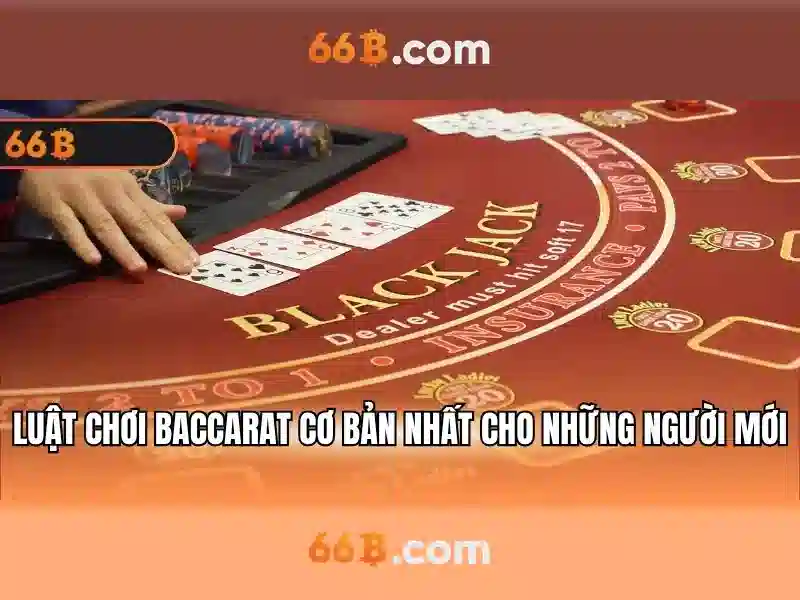 Phân tích khái niệm và ứng dụng của 66b