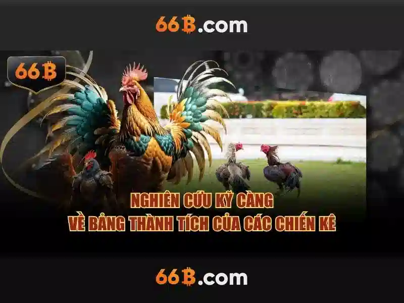 66b – Nền tảng đổi mới và trải nghiệm 66b