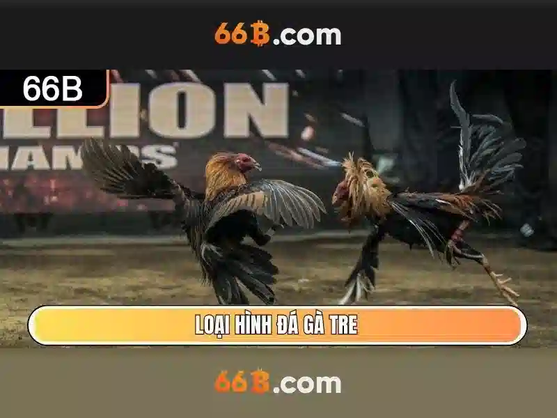66b: một khái niệm đa ngữ nghĩa