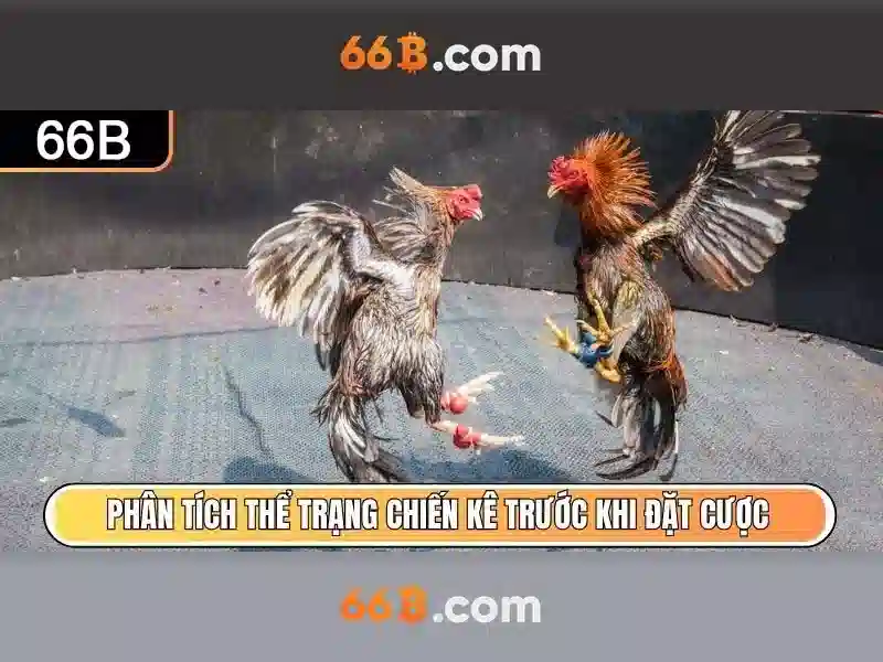 Về mô hình 66B: đặc điểm, kiến trúc và tiềm năng