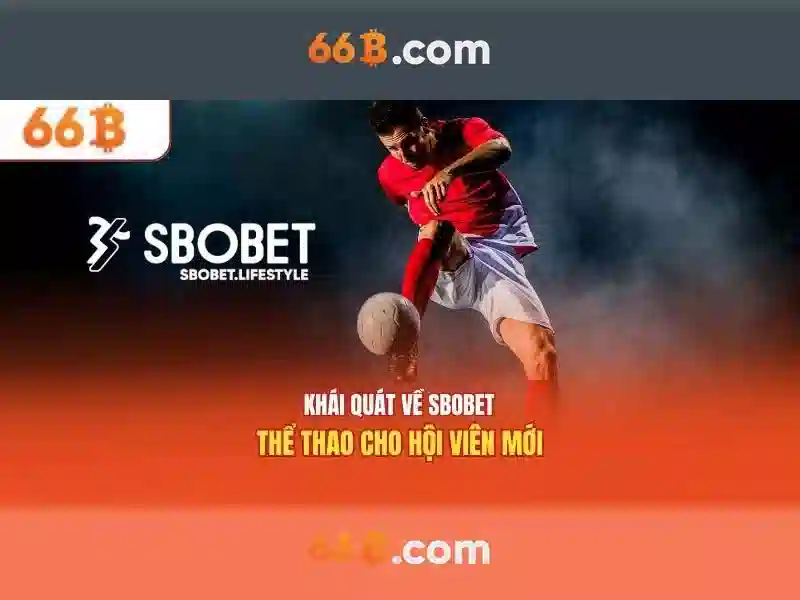 Kiến trúc và cách hoạt động