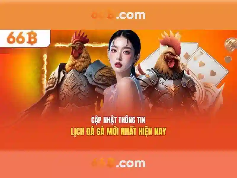 66b: Mã hiệu và ý nghĩa trong nhiều ngữ cảnh