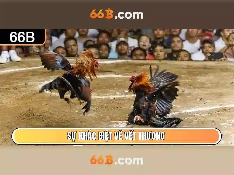 So sánh với các mô hình khác