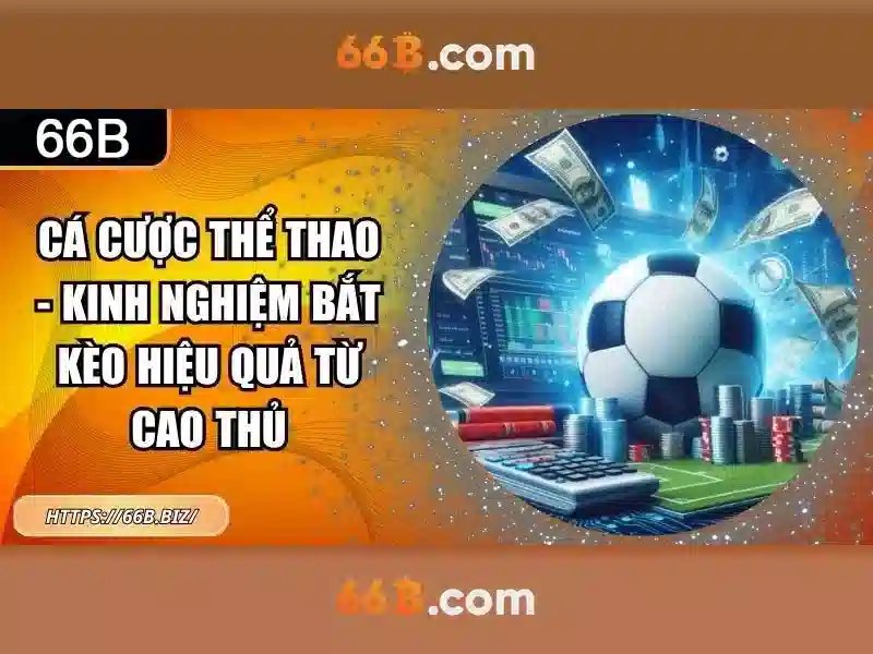 Khái niệm 66b