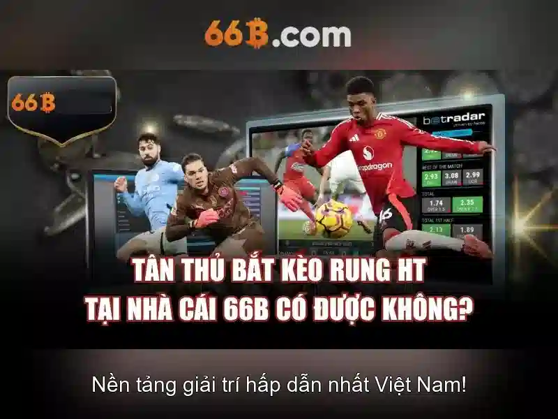 Ứng dụng tiềm năng của 66B