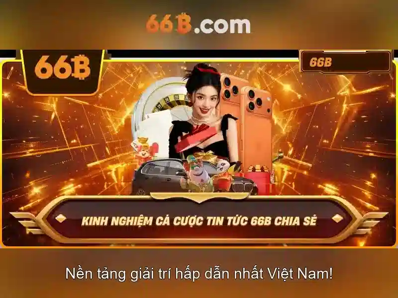 Tương lai của 66B và các lĩnh vực tiềm năng