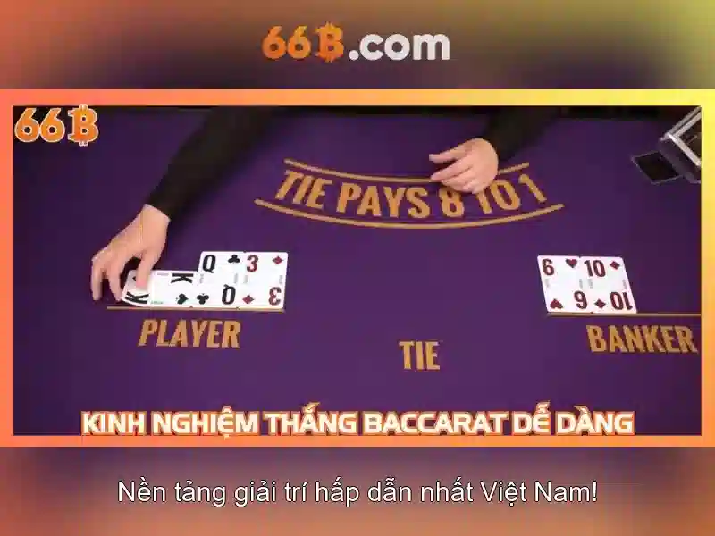 66B là gì?