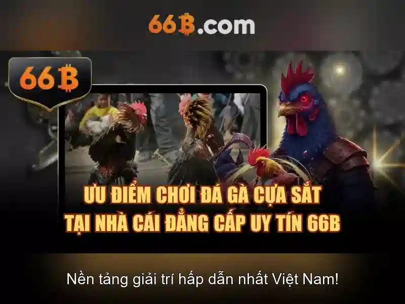 Đặc điểm kỹ thuật