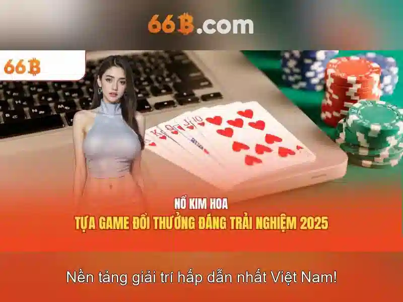 66B là gì và tại sao nó quan trọng