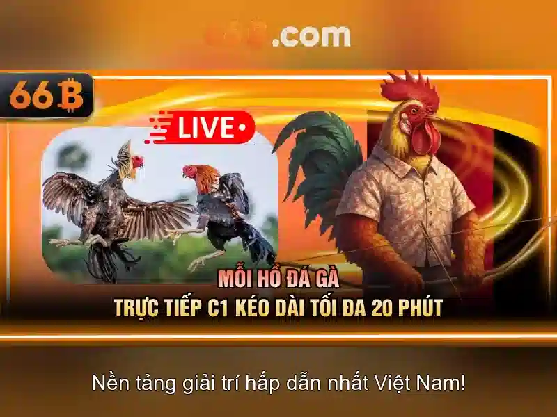 Tương lai của 66B<p style=