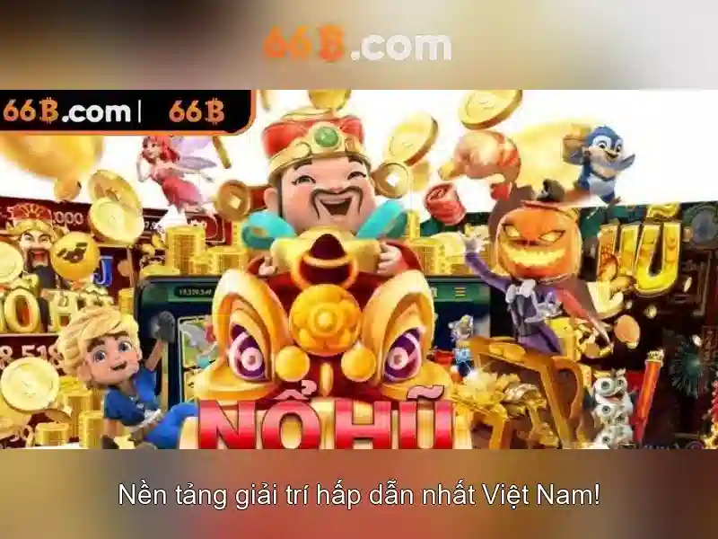 66B là gì?