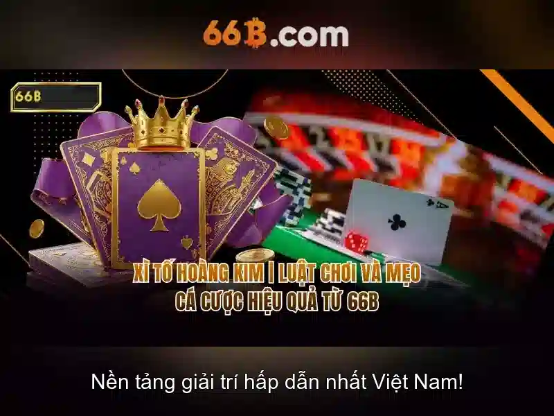 Khái niệm và kích thước của 66B
