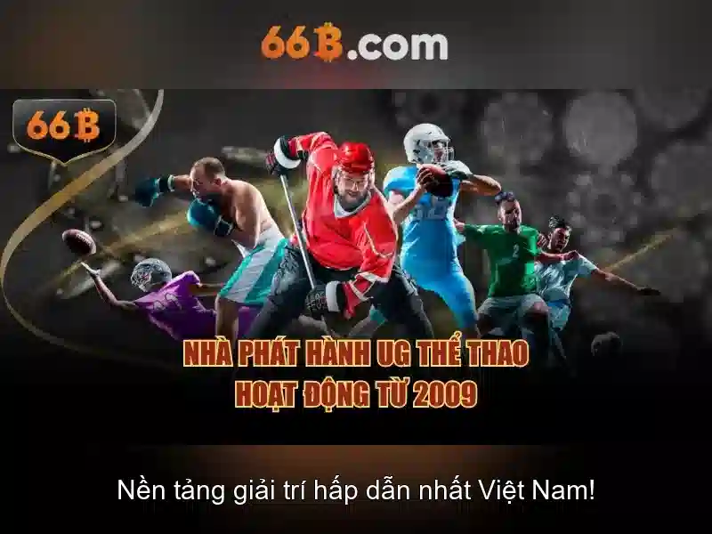 66b trong văn hóa và xã hội