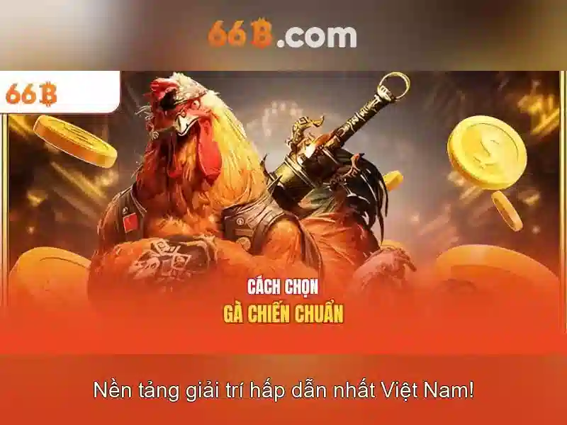 Trải nghiệm người dùng và phản hồi cộng đồng</p>