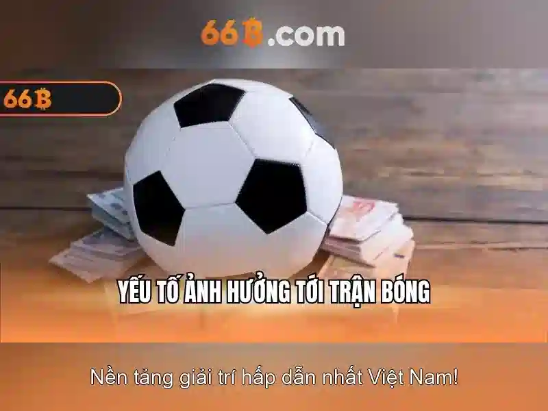 66b và hành trình khám phá