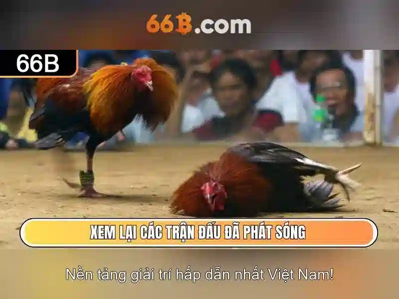 Ứng dụng và hạn chế