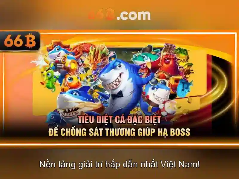 Giới thiệu về 66B