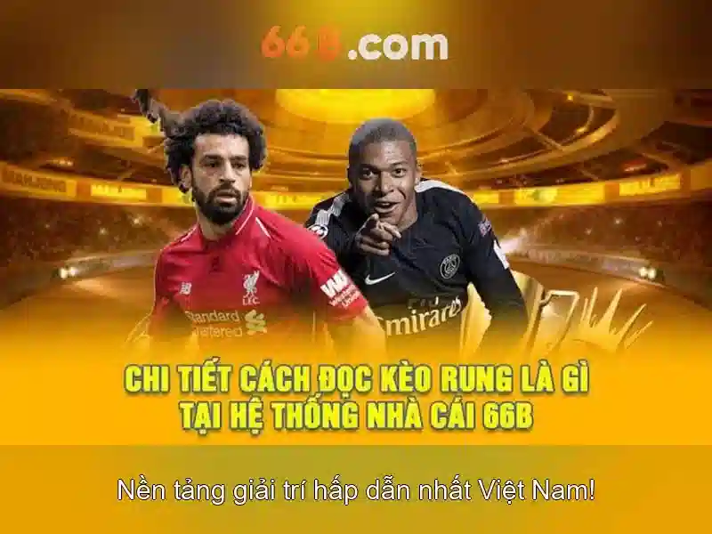 Cách làm việc và giới hạn