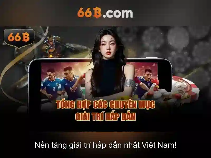 Định nghĩa và lịch sử của 66B