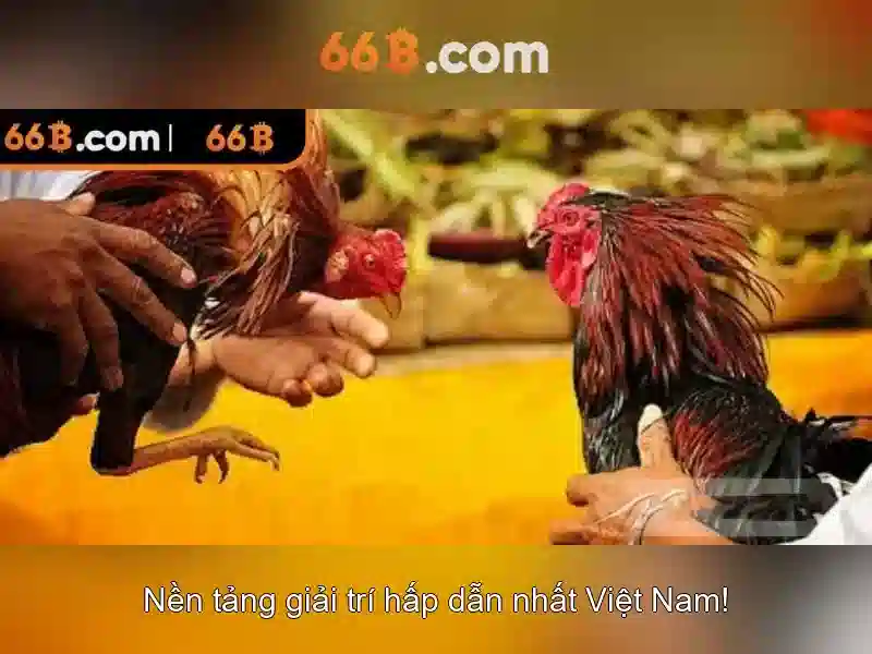 Ví dụ thực tế và ý tưởng sáng tạo