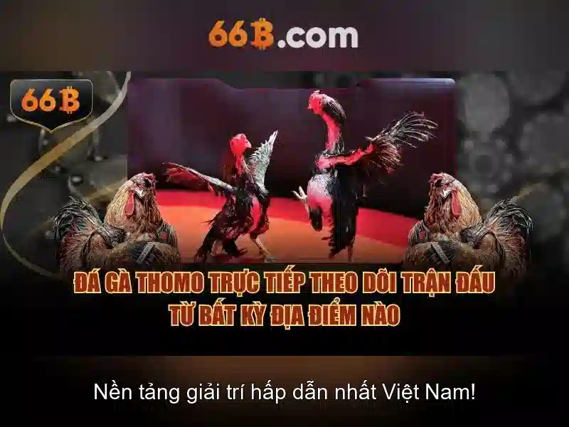Những thách thức và cân nhắc