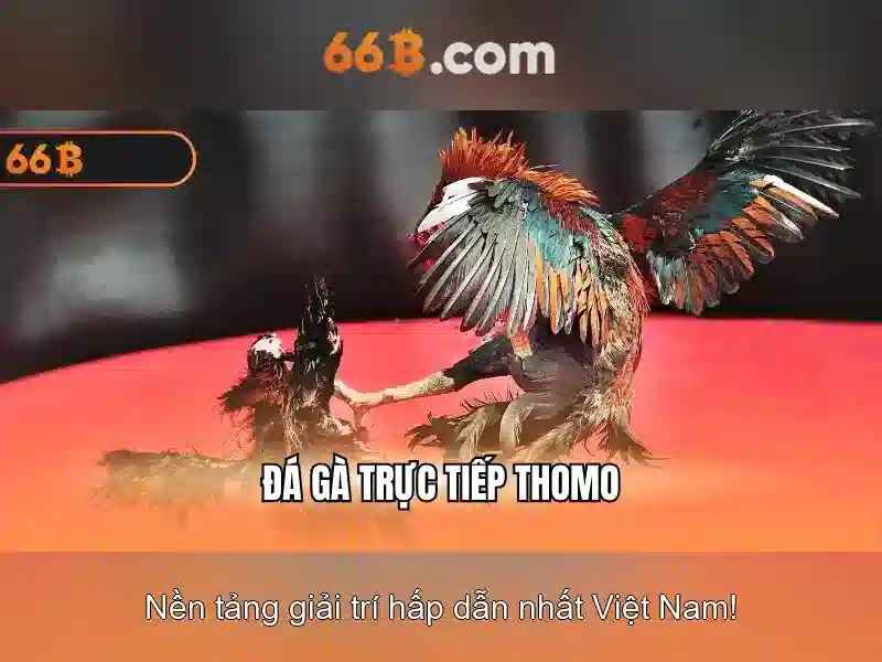 Kiến trúc và đặc điểm
