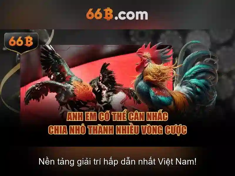 Nguon goc cua ky hieu 66B