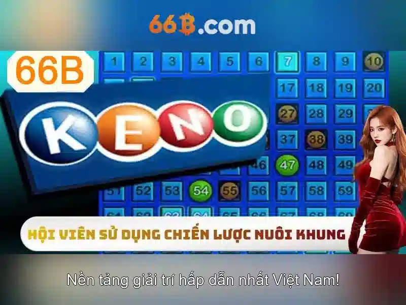 it act 66b – Trải nghiệm người dùng và phản hồi cộng đồng