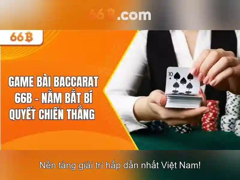66B: Khái niệm, kích thước và thời trang