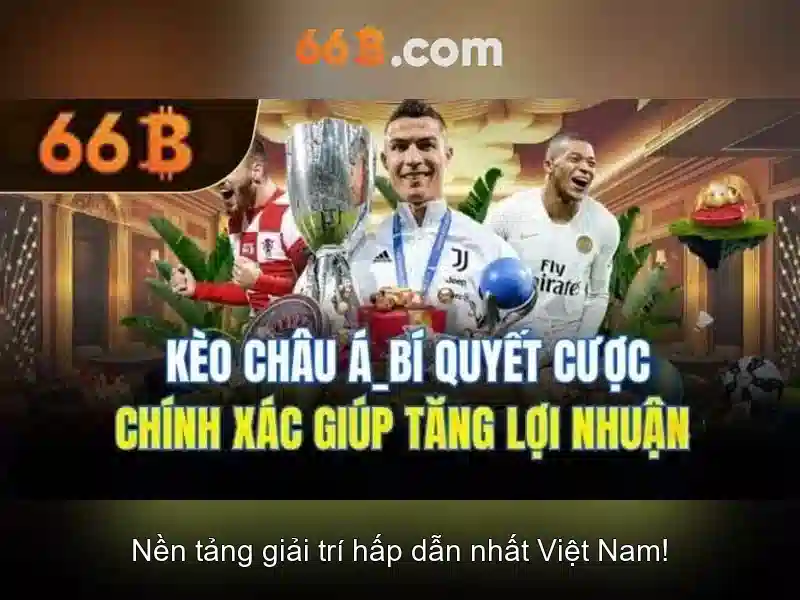 Trải nghiệm người dùng và phản hồi cộng đồng