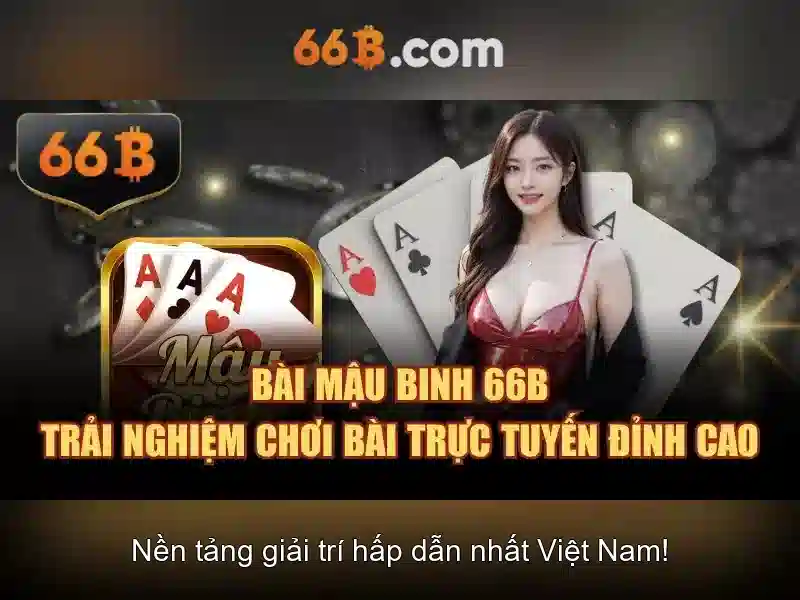 Ứng dụng thực tiễn của 66b trong doanh nghiệp