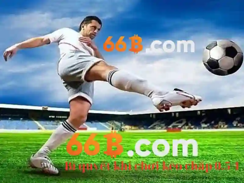 66b: ý nghĩa và ứng dụng