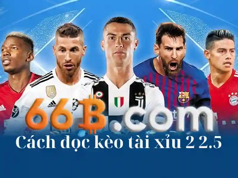 66b con – Chủ đề tổng quan và giá trị cốt lõi