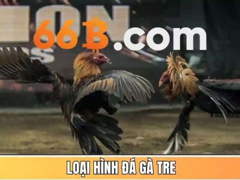 Biểu tượng các kênh liên hệ như telegram zalo và email của 66b