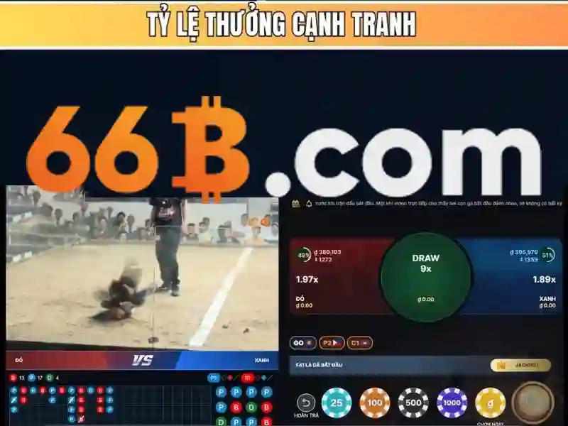 Thách thức và rủi ro