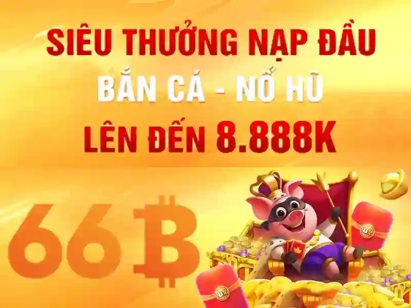 đánh giá 66b – Trải nghiệm đánh giá 66b từ cộng đồng